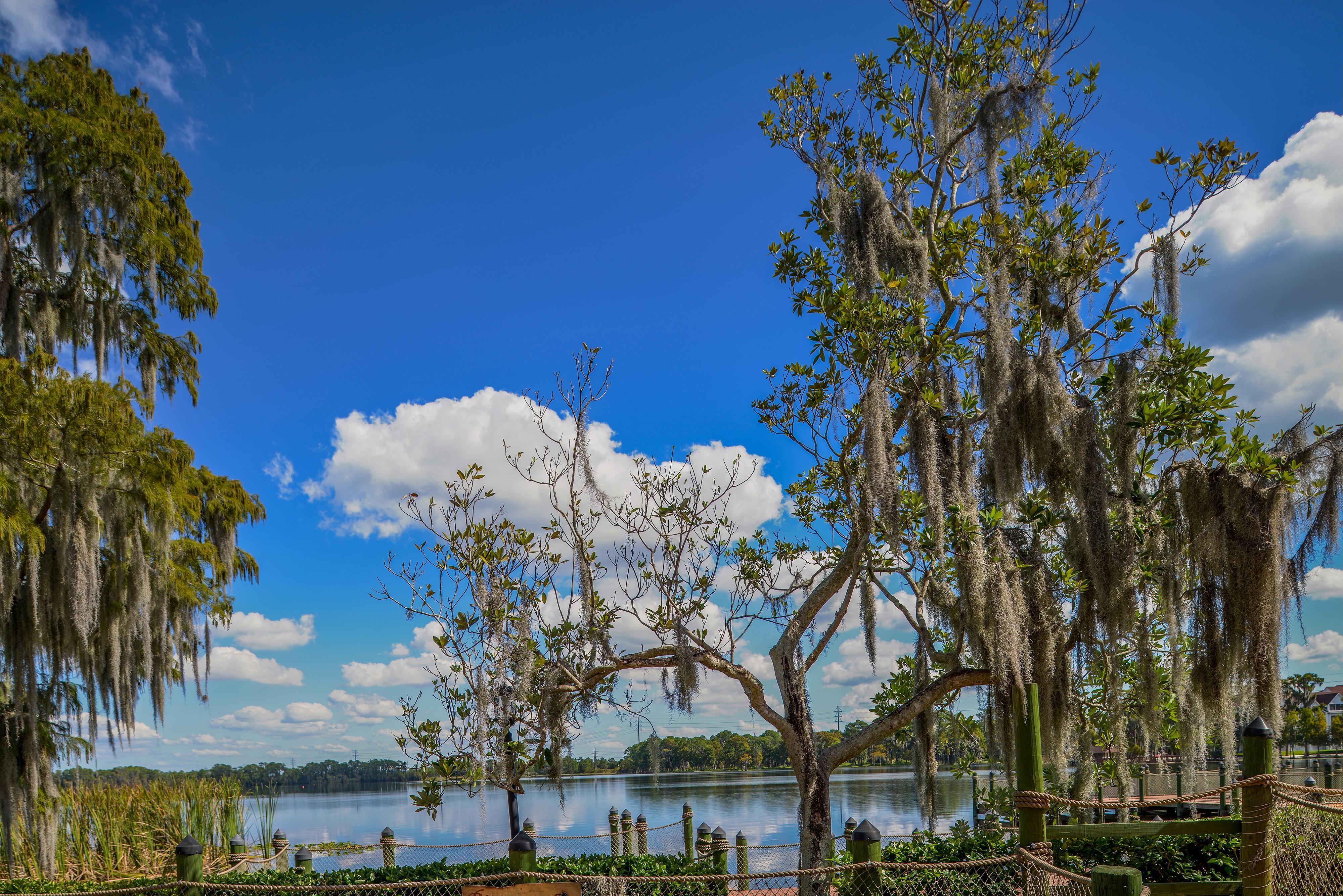 Bryan'S Spanish Cove Lake Buena Vista Exterior photo